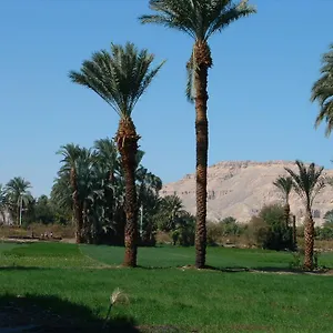 https://home-sweet-home-luxor-apartments.hotels-luxor-egypt.com